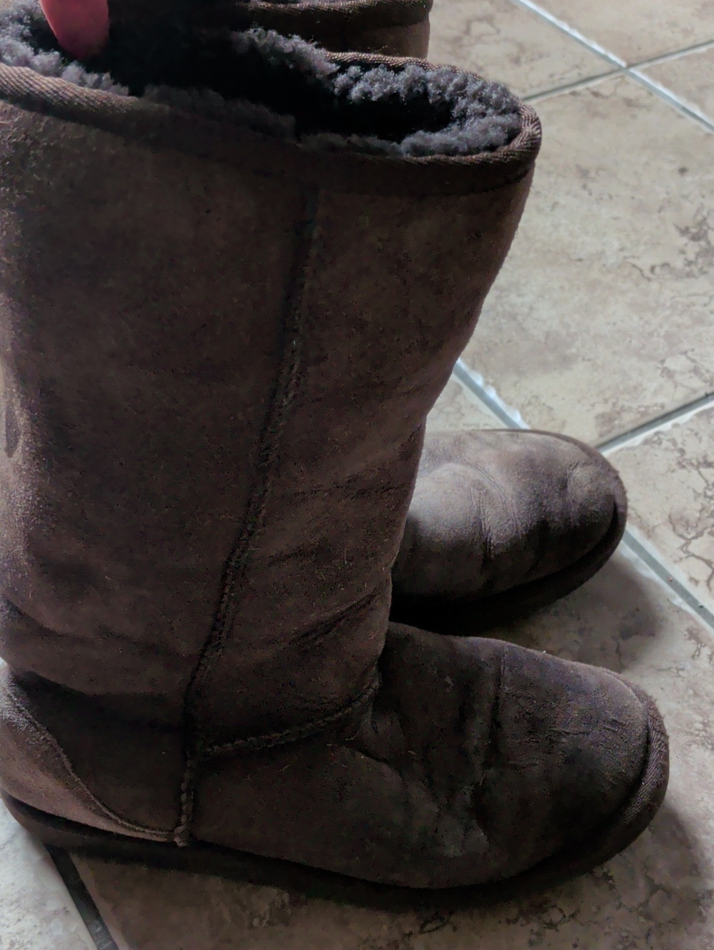 UGG Women's Dark Brown Tall Boots
